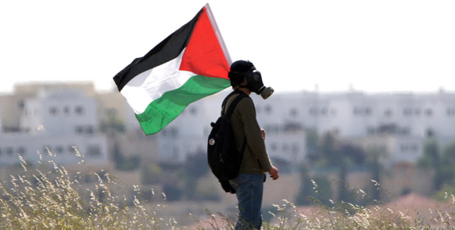 Palestinian Hunger Strike in Israeli Prisons: Solidarity ...